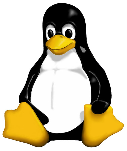 Basic Linux