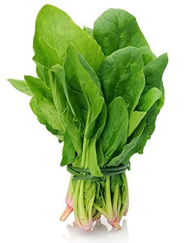 Spinach - palak Seeds