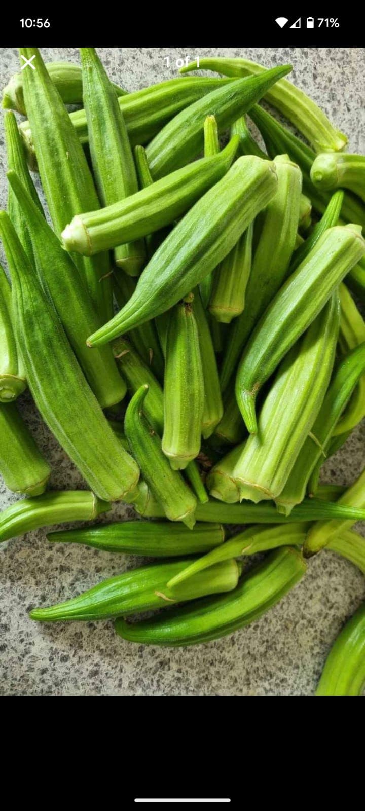Bhendi (Okra) Seeds