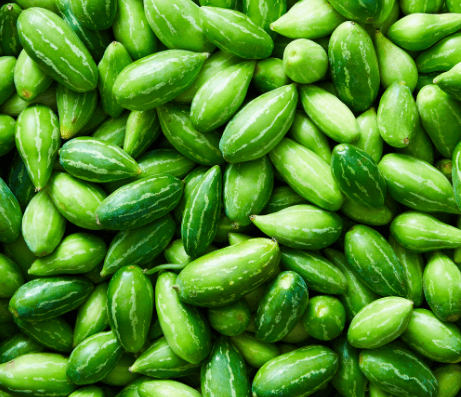 Tindora (Ivy Gourd) Seeds